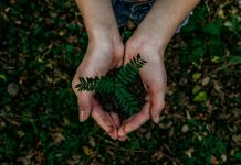 UK’s fund managers slow to embrace new FCA sustainability labels