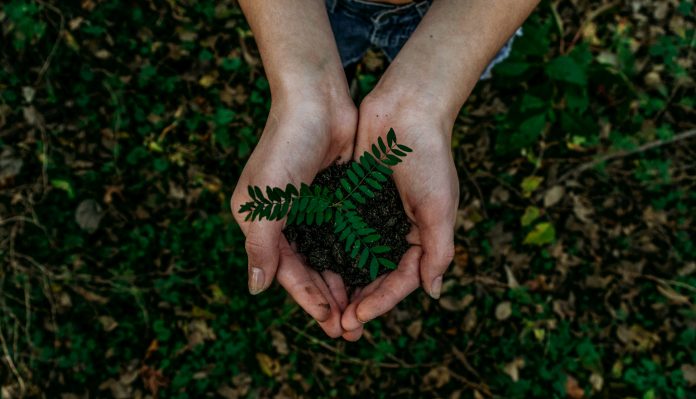 noah-buscher-x8ZStukS2PM-unsplash (6)