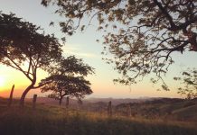 Costa Rica sets benchmark in sustainable finance with new taxonomy
