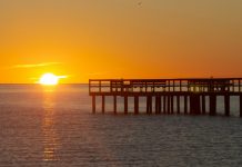 American Sustainable Business Council takes on Texas in ESG lawsuit