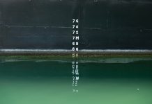 Beyond the metrics: Understanding what ESG scores can and can’t do
