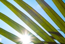 NGFS launches Version 2.0 of data directory to tackle climate finance risk NFGS