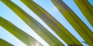 NGFS launches Version 2.0 of data directory to tackle climate finance risk NFGS