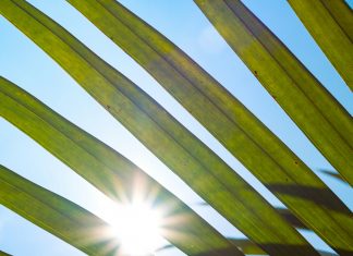 NGFS launches Version 2.0 of data directory to tackle climate finance risk NFGS