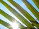 NGFS launches Version 2.0 of data directory to tackle climate finance risk NFGS