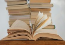 The future of sustainability reporting: Understanding CSRD assurance requirements CSRD