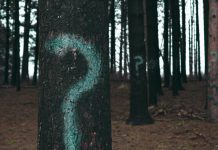 How can businesses achieve a 0.1% manual review rate? review