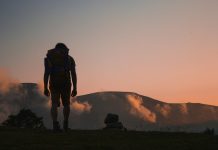 Navigating DORA compliance: The journey towards enhanced financial resilience DORA