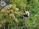 Toolkit launched by WWF to tackle financial crimes in environmental sectors