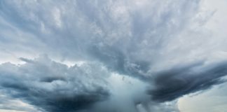 CDP aligns with ESRS standards to enhance environmental reporting efficiencies CDP