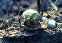 Unlocking corporate potential through strategic ESG reporting ESG