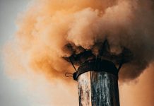 Net-zero asset owner alliance pushes for compulsory scope 3 emissions disclosure