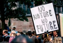 FINMA sets new standards for climate risk management in banks and insurers FINMA