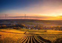 ESMA launches consultation on digitalising sustainability and financial disclosures ESMA