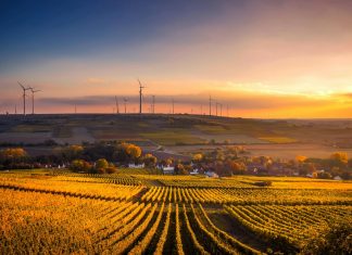 ESMA launches consultation on digitalising sustainability and financial disclosures ESMA