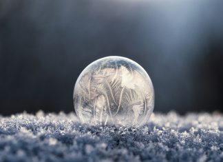 Cybersecurity firm Freeze raises $2.6m seed round to enhance attack surface protection