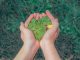 Essential strategies for meeting CSRD & ESRS reporting requirements in 2025 CSRD