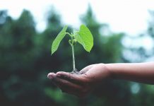 How SMEs can leverage the new VSME reporting framework VSME