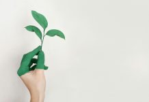 Apave Group acquires Aktio to enhance sustainability services Apave