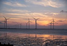 ISSB unveils tool to enhance global adoption of sustainability reporting standards ISSB