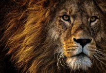 Taming the regulatory beast: How AscentAI streamlines compliance in finance