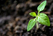 IFC launches landmark ESG review for $4.5tn emerging market investments