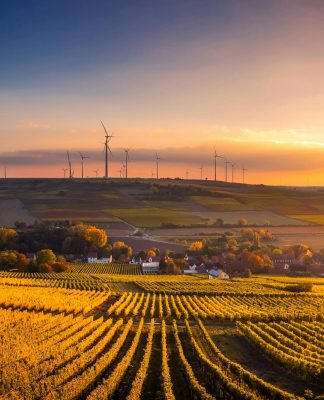 ECB warns of investor risk as 80% of companies face removal from CSRD reporting