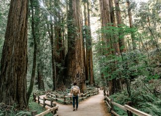 How to choose the right AI vendor for legal tech