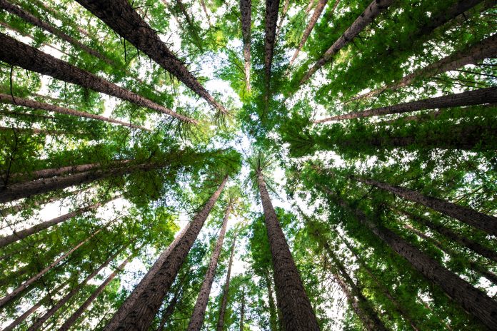 arnaud-mesureur-7EqQ1s3wIAI-unsplash (15) KYC Portal CLM embeds ESG into KYB to meet compliance demand