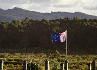 Visa fights AI scams with NZ security roadmap Visa