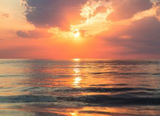 Stay compliant by mastering tax form sunset periods Stay compliant by mastering tax form sunset periods