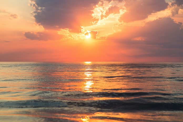 sebastien-gabriel--IMlv9Jlb24-unsplash Stay compliant by mastering tax form sunset periods