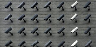 Woven Solutions lands funding from Falfurrias Partners