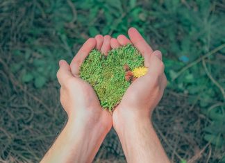 Diginex, SGS boost partnership to power sustainable finance SGS