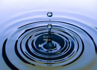 AI infrastructure start-up Echo raises $15m seed round Echo