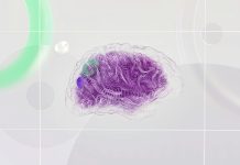 Dotfile unveils Autonomy AI agent for KYB compliance Dotfile