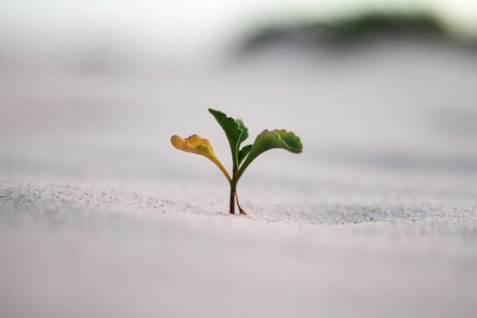jeremy-bishop-vGjGvtSfys4-unsplash FCA