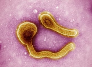 The data legacy linking Dr. Snow and Corlytics Corlytics