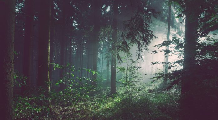 Why ESG is now a financial priority for retail in 2025 ESG