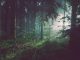 Why ESG is now a financial priority for retail in 2025 ESG