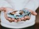 Cybersecurity firm Saporo raises €7m Series A Saporo