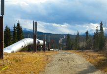 Energy sanctions reshape global supply chains sanctions