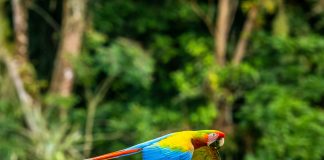 Cytora partners Pilotbird to tackle claims fraud with analytics Cytora partners Pilotbird to tackle claims fraud with analytics