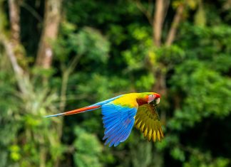 Cytora partners Pilotbird to tackle claims fraud with analytics Cytora partners Pilotbird to tackle claims fraud with analytics