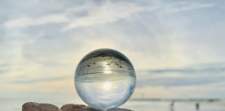 How firms can demystify the future of compliance Vixio