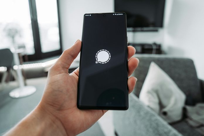 mika-baumeister-NU4LprLqjts-unsplash Rein