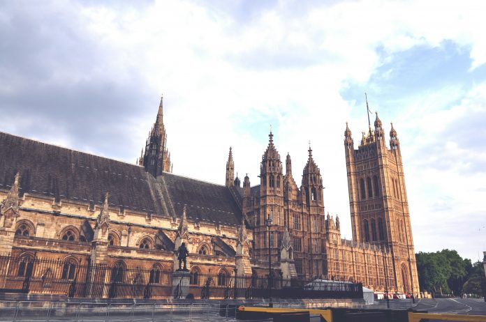 tommao-wang-gdbj1IFvD6U-unsplash (1) DWP