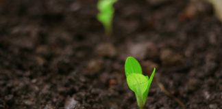 Cybersecurity GRC platform IntelliGRC raises $3.5m seed IntelliGRC