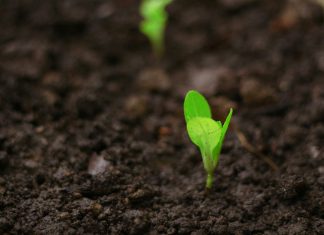 Cybersecurity GRC platform IntelliGRC raises $3.5m seed IntelliGRC