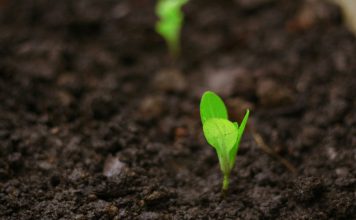 Cybersecurity GRC platform IntelliGRC raises $3.5m seed IntelliGRC